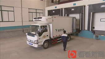 独家揭秘 上海疫苗配送如何实现从储存到使用的全程冷链闭环